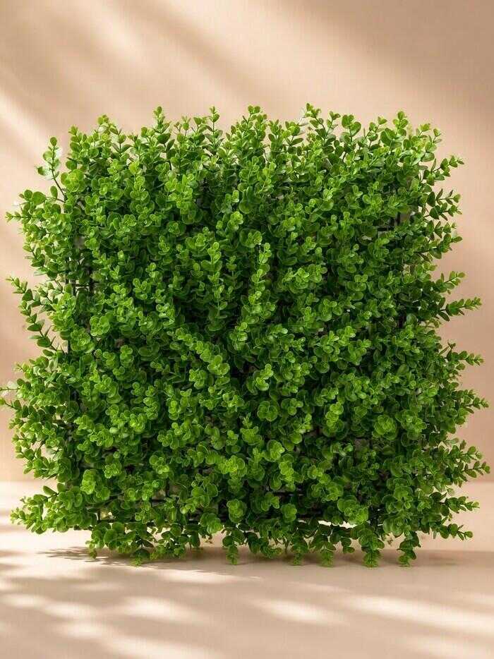 گرین وال پرتقال🍊