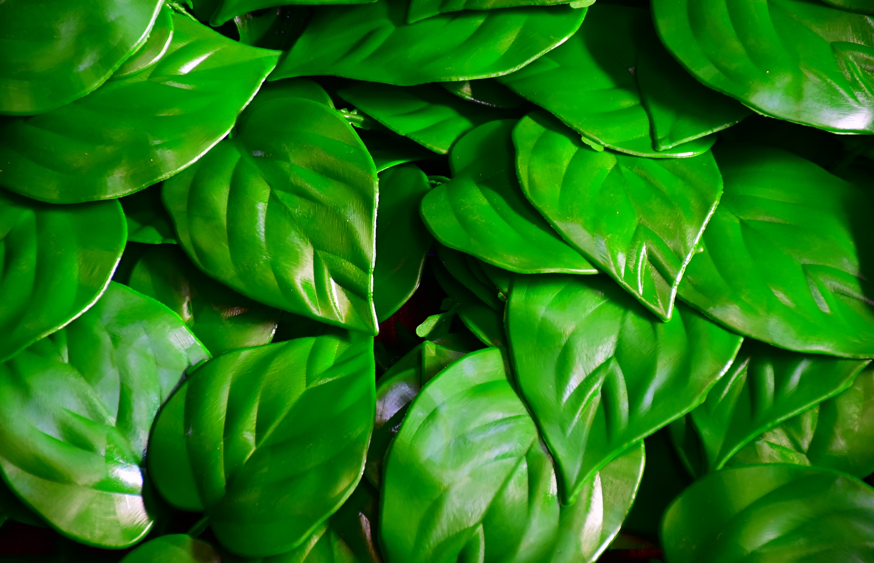 دیوارسبز مصنوعی پتوس